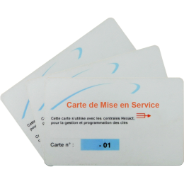 EVI-THEXACMS3 Lot de 3 cartes de mise en service T HEXA SOFT/HEXACT WEB