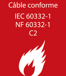 IZX-BS405S4 Contact electromecanique a bille - inverseur en acier - cable 4m nf c2