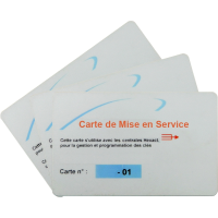 Lot de 3 cartes de mise en service T HEXA SOFT/HEXACT WEB