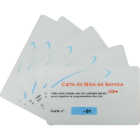 Lot de 5 cartes de mise en service T HEXA SOFT/HEXACT WEB